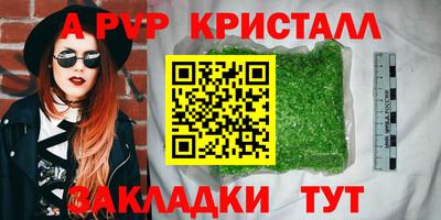 СК Бийск