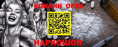 СК Бийск