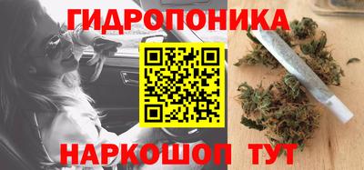 СК Бийск