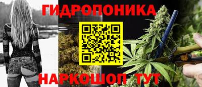 СК Бийск