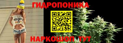 гашик Павлово