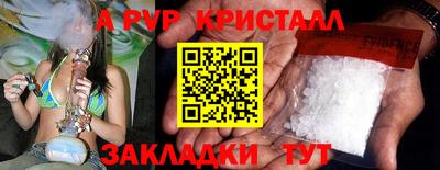 СК Бийск