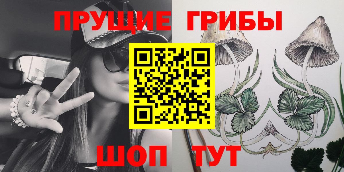 Псилоцибиновые грибы прущие грибы  Вход с VPN  Кинель  Псилоцибиновые грибы мицелий 