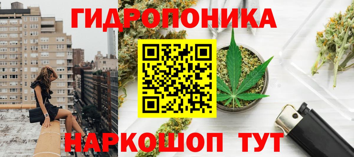 Кинель  Бошки марихуана планчик  Бошки Шишки Amnesia  МАРИХУАНА тримм  Канабис конопля  Вход с VPN 